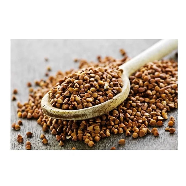 Organic buckwheat kernel /buckwheat seed / buckwheat hull For Sale