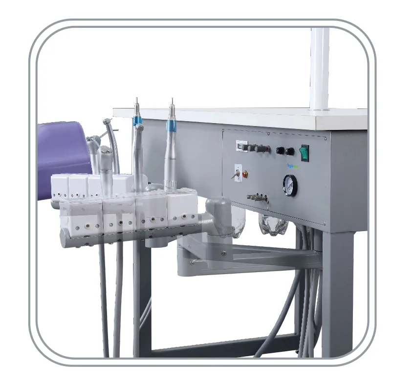 manikin dental phantom head dental simulator for training practice dental phantom head dental simulator