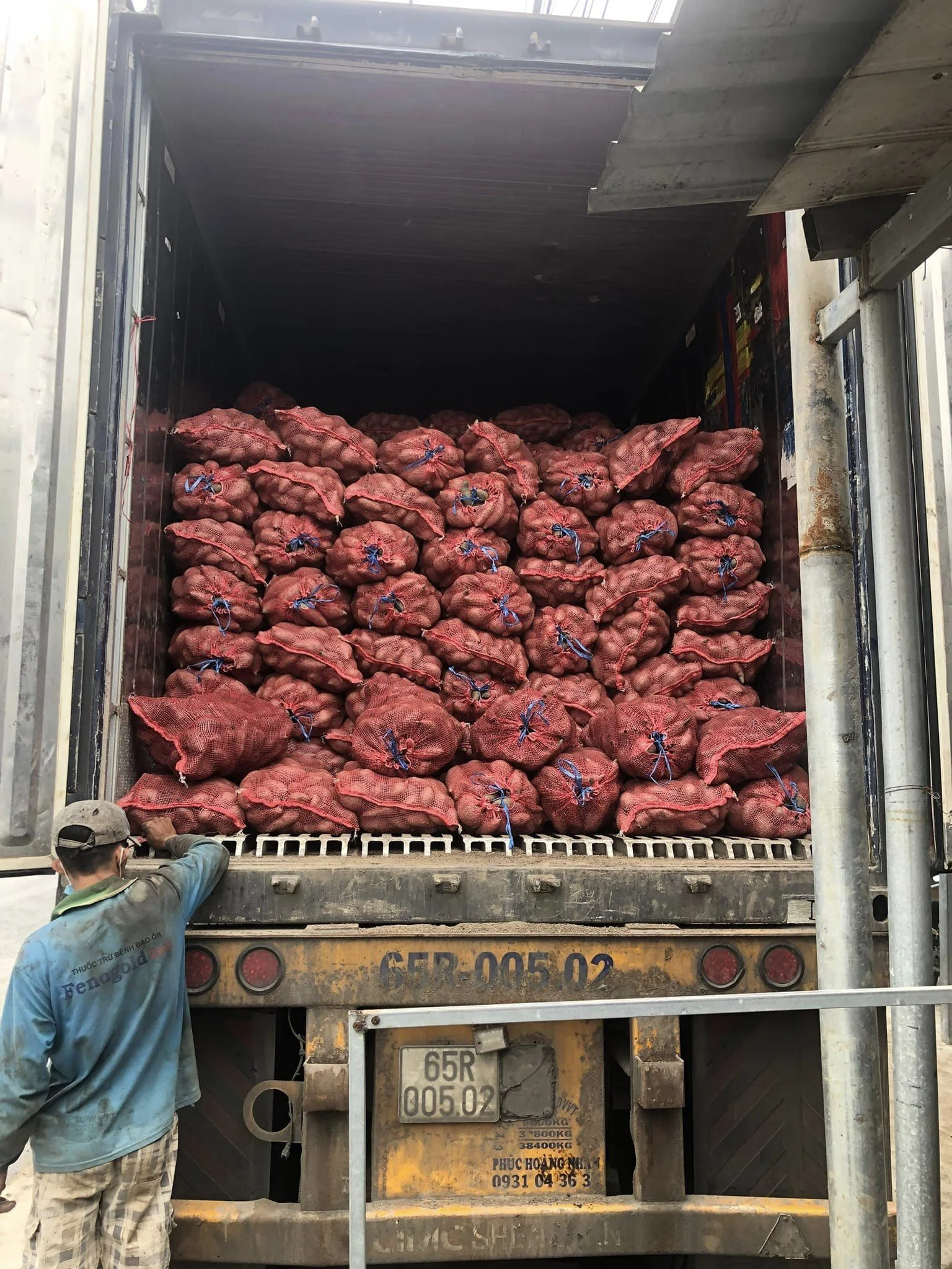 Top Fresh Purple Sweet Potato - Wholesale Price - Export From Vietnam