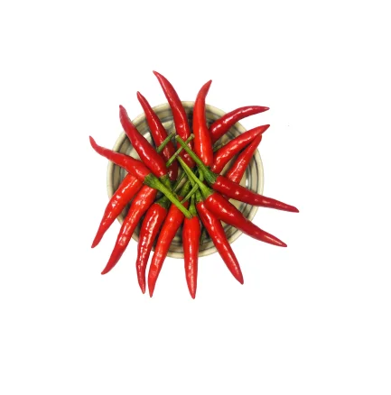 Fresh Red Chili Pepper - Wholesale Top Choice Sweet and Hot Spicy Red Chili Pepper for Cooking Process