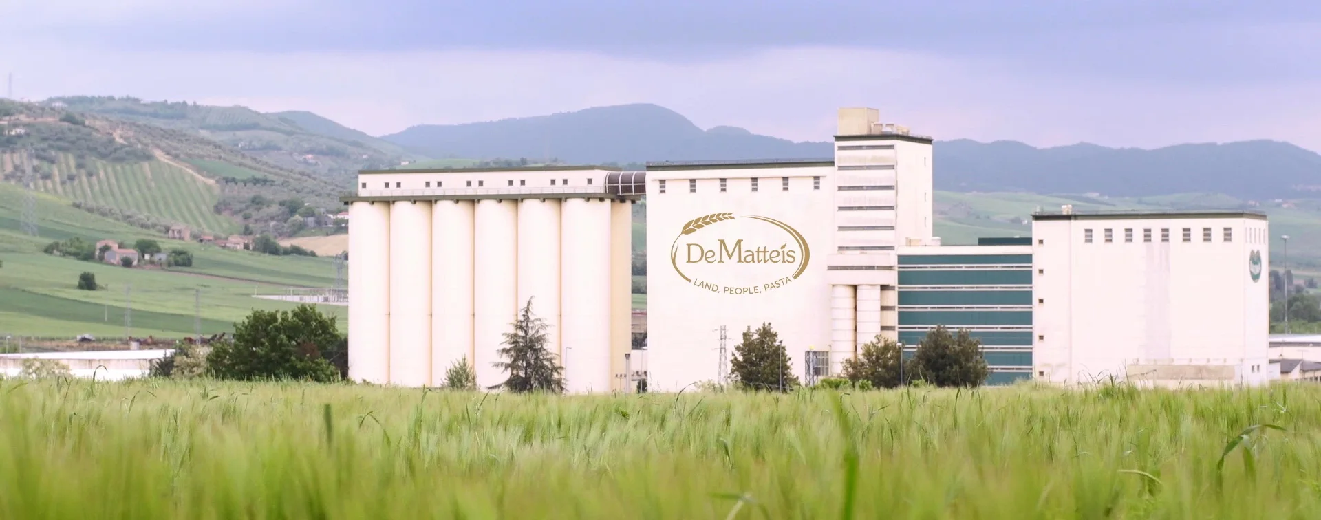 High Italian Quality Dry pasta 3kg Pennette Rigate in bag Durum Wheat semolina tubular Pasta for Wholesale