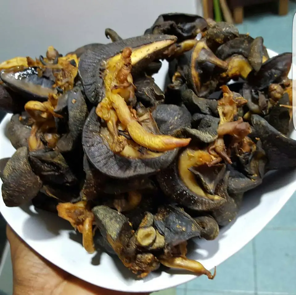 Giant African Land Snails for sale,High Quality Edible Snails Frozen
