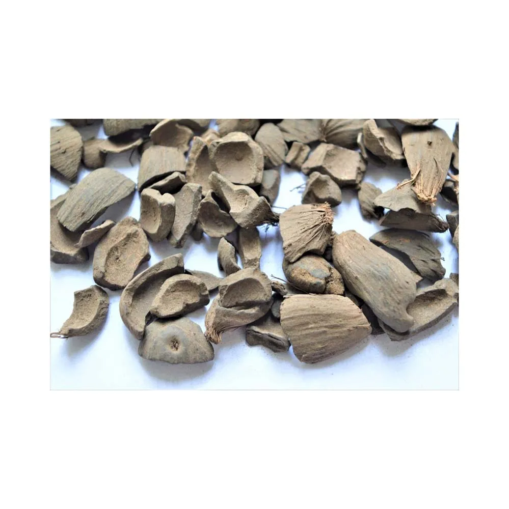 High Quality Palm Kernel Shell From Agricultural Waste With Good Price