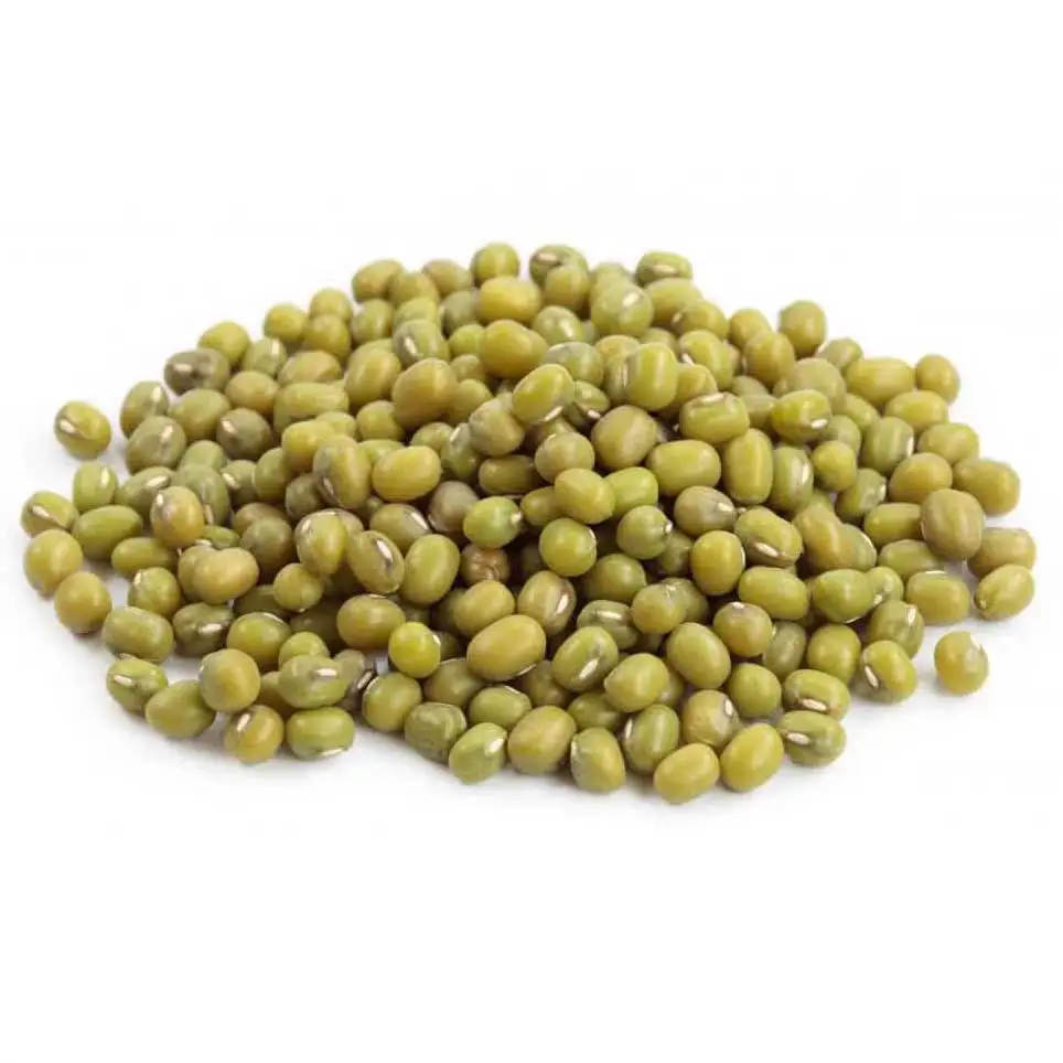 Top quality Green Grams  Vigna Beans in wholesale
