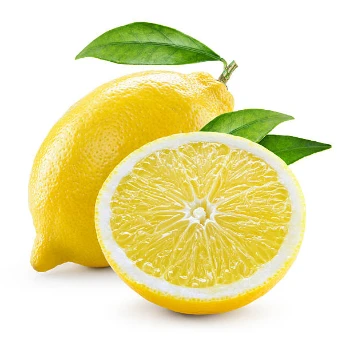 Fresh Lemon Fruits Top Sales Natural Citrus from South Africa Best quality wholesale Lemon Citrus