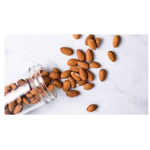 Wholesale Best price High impact Bitter Apricots Kernels OEM services Bitter Apricots Kernels Factory rate in Hot price