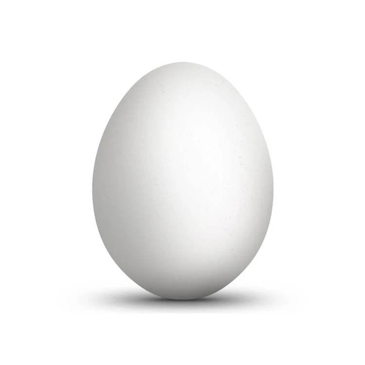 Ostrich Fertilized Eggs For Sale