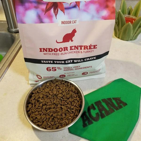 Корм для собак с высоким содержанием белка, здоровый ингредиент, корм для домашних животных, хит продаж, натуральная Органическая корма для собак и кошек, корм для домашних животных, черный