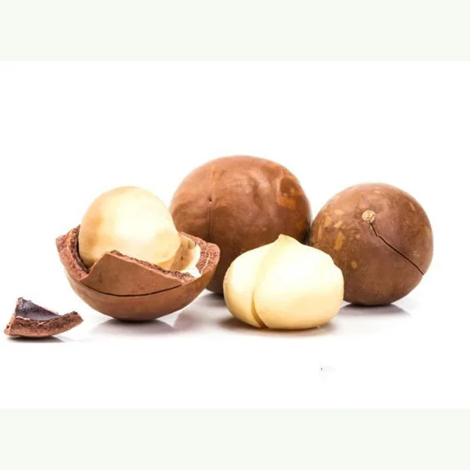 High quality Macadamia Nuts for Wholesale Factory supply Raw macadamia in shell Premium Grade Raw Organic