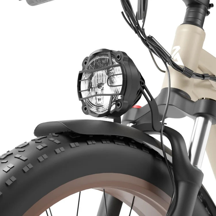 Five-year warranty Dual Motor electric bicycle 48v 2000w e-bike Pedal Assist dual battery Fat Tire Electric Mountain Bike