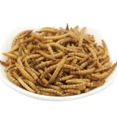 Wholesale 10 gram/Bag Freeze Dried Blood Worm Fresh Tropical Fish Discus Food Feeding Bloodworms For Fish Pet Food