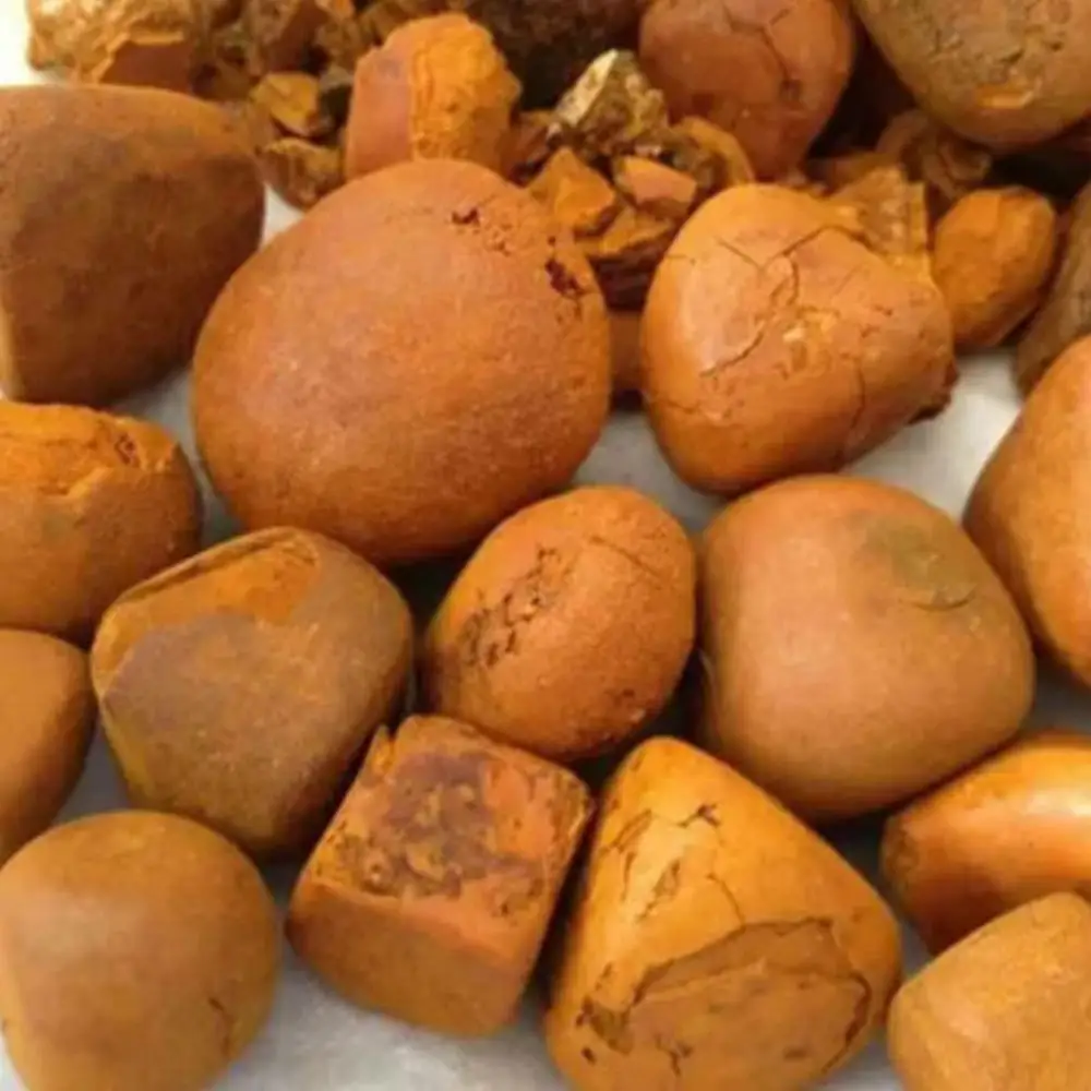 We can sell you best quality Cow/Ox/Cattle Gallstones