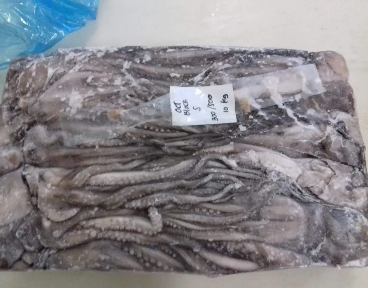 Замороженный длинный осьминог, цельный круглый, хорошего качества, индонезийского происхождения