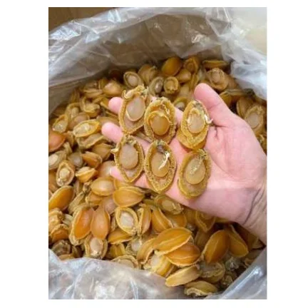 Dried Seafood Gift Packing Whole Gluten-free Nature Cooking Air Dry Abalone-style Shellfish 100GRAMS Abalone Without Shell