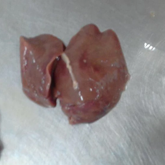 Frozen Chicken Livers