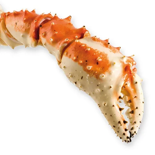 butterfly Blue Style Live king Crab Fresh Red King Crab Fresh/frozen/live Red King Crabs Frozen Whole Red Live king Crab Hot