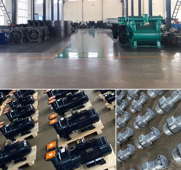 300 L/s rotary piston type vacuum pump freeze dryer pump