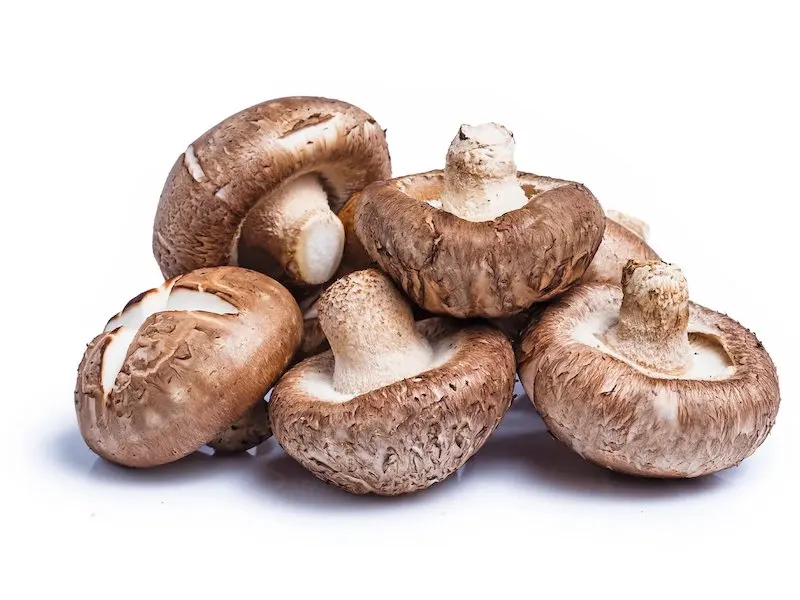 Dried Shiitake Donko9.jpg