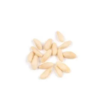 Suppliers Pine Nuts Pecan Nuts Pine Kernels Chinese Korean YELLOW Bag Item Packing Packaging Food Organic COLOR Snow Shelf