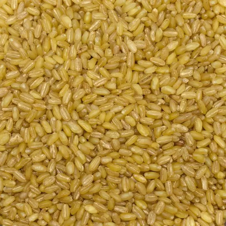High Quality Firts Class Wholesale Product Bulgur