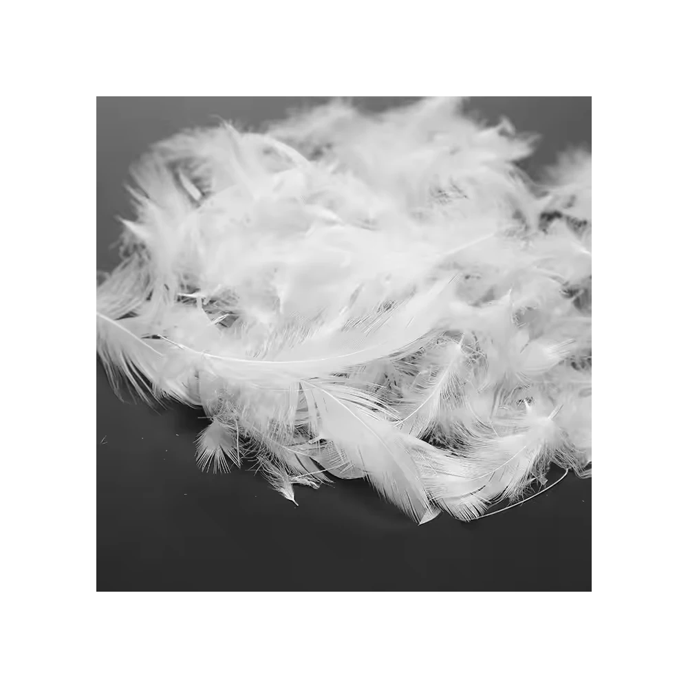 100% High Quality Washed Duck Feathers Ideal for Pillows Duvets and Upholstery Soft Clean and Hypoallergenic