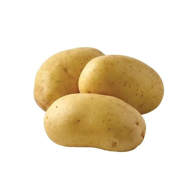 Organic New Crop Fresh Irish Potatoes Sweet Tasting Organic Irish Potatoes