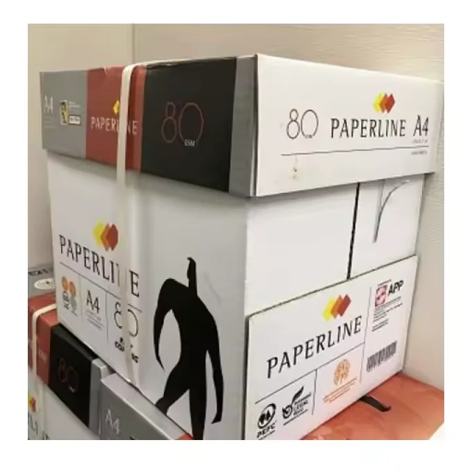A4 Copier7.png