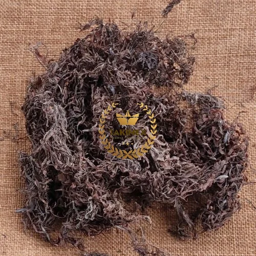 Вьетнамские высококачественные сушеные водоросли Sargassum/100% чистые темно-коричневые во Вьетнаме