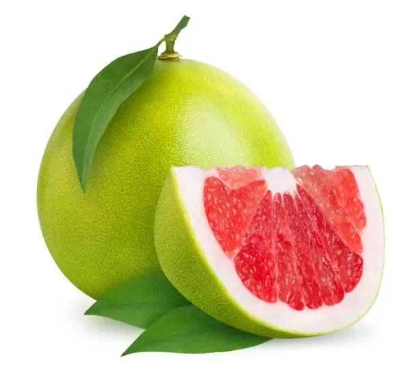 Эксклюзивное импортное предложение и импорт с уверенностью свежие Pomelo лучшие цены от Viet Nam для импортера
