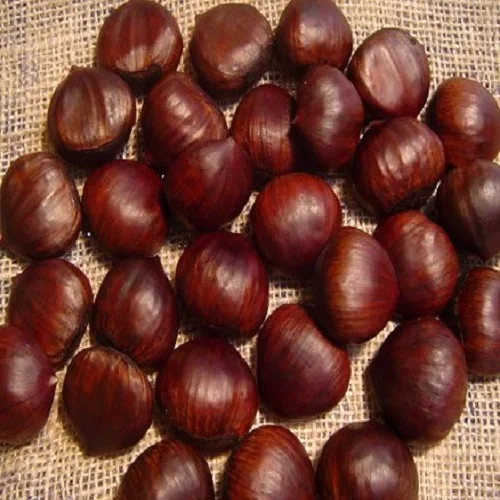 Buy Organic Fresh Chestnuts At Cheap Price