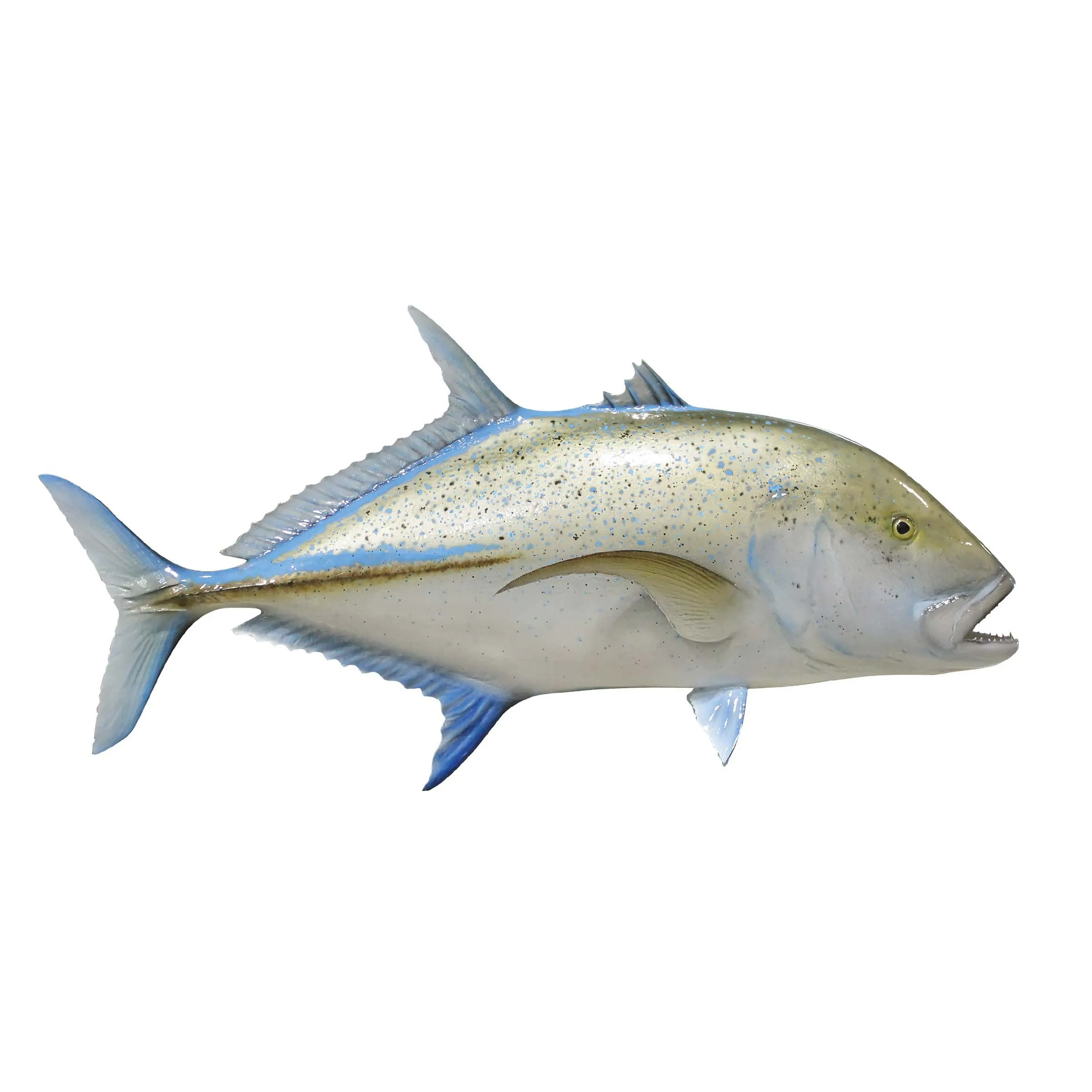 Frozen Seafood Wholesale frozen Trevally fish for bulk order
