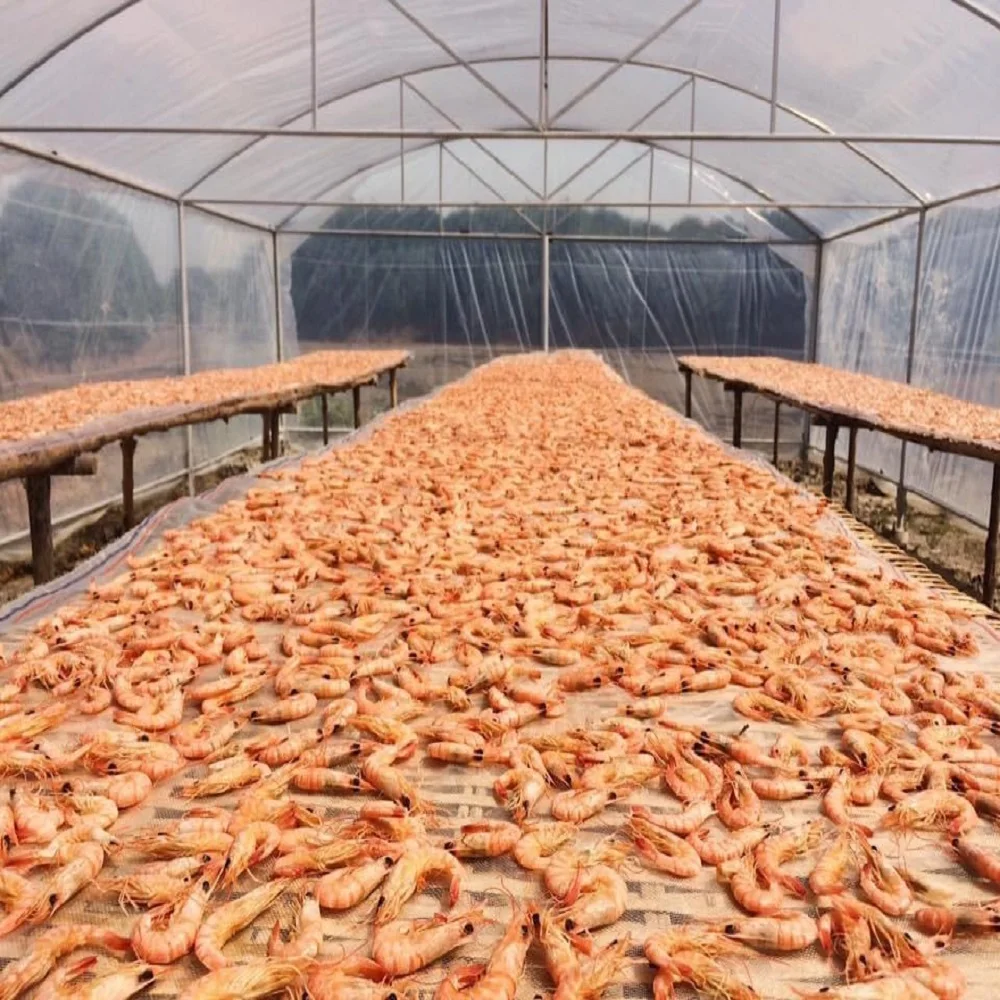 Best Selling Good Quality Air Processing Skinless Seafood Traditional 5 months Shelf Life Ca Mau Dried Shrimp from Vietnam