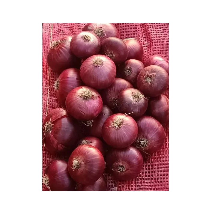 Fresh Red Onions New Harvest Wholesale Seasoned Foods spices big onions Top Grade