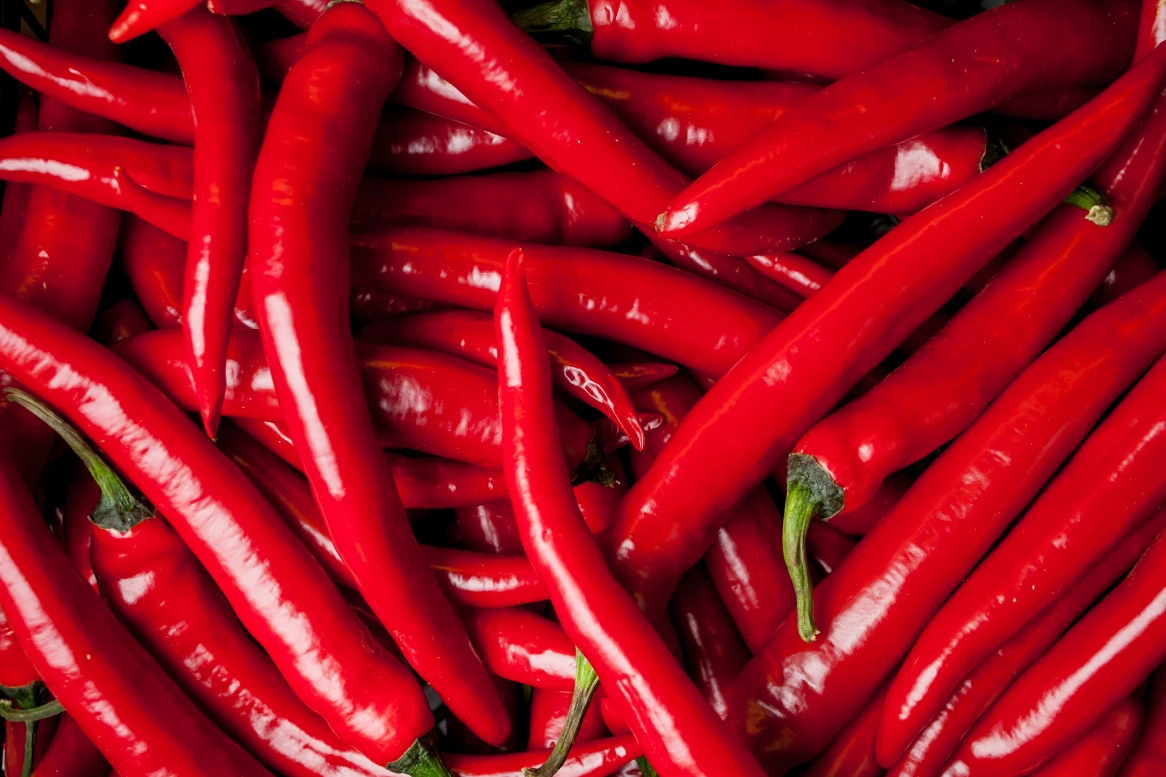 Top Selling Natural Dried Red Chilli Food Grade Hot Spicy Single Spices Whole Red Chilli Buy From Indian Manufacturer