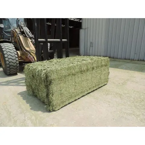 Quality Horse Hay. Offering Timothy, Orchard Grass, Alfalfa, and mixes in square and round bales..