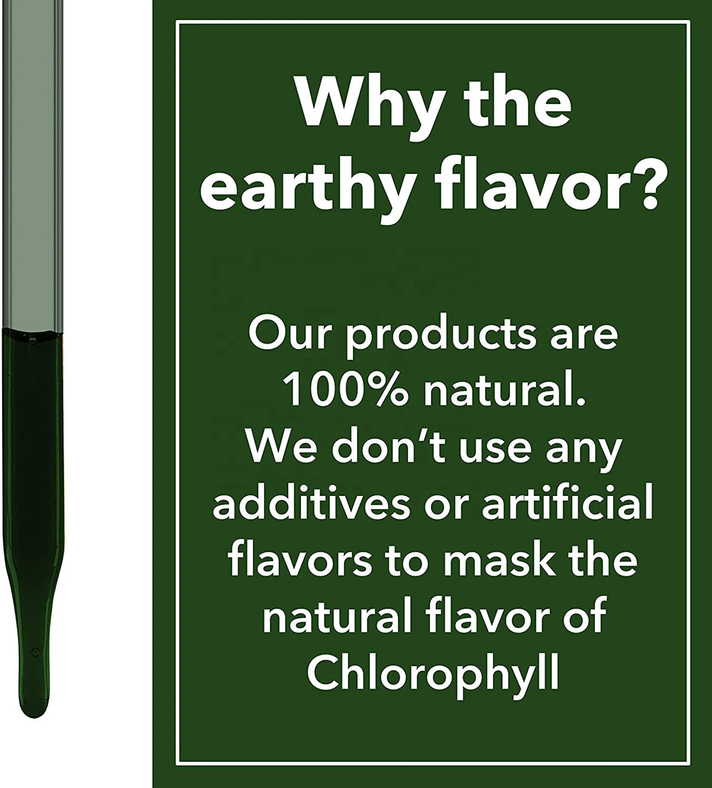 Hot Selling Custom Label Non-Gmo Gluten Free Vegetarian Organic Drop Mint Natural Flavor Liquid Chlorophyll For Adults