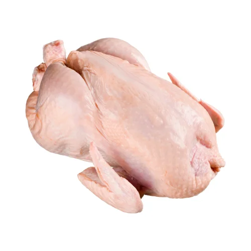 Premium Supplier Halal Frozen Whole Chicken Halal Chicken Processed Meat from Brazil