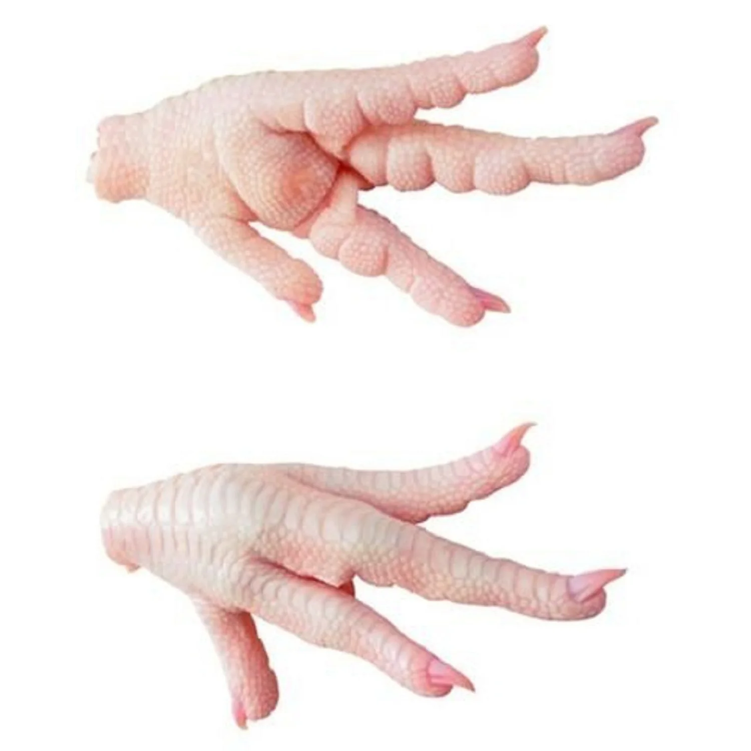 Wholesale Price Frozen Chicken Feet and Chicken Paws