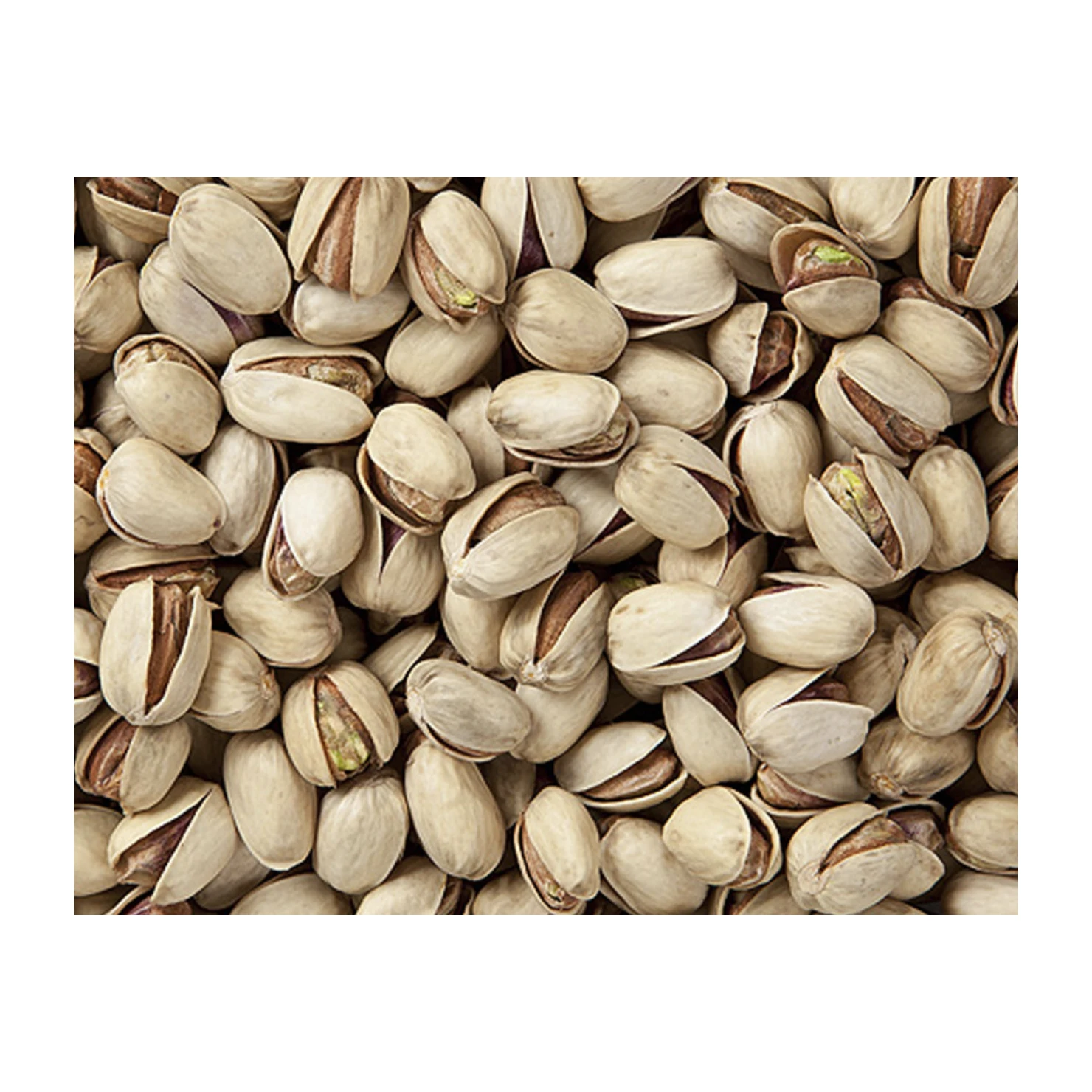 Pistachio Wholesale Pistachio Manufacturer Factory Pistachio Nuts
