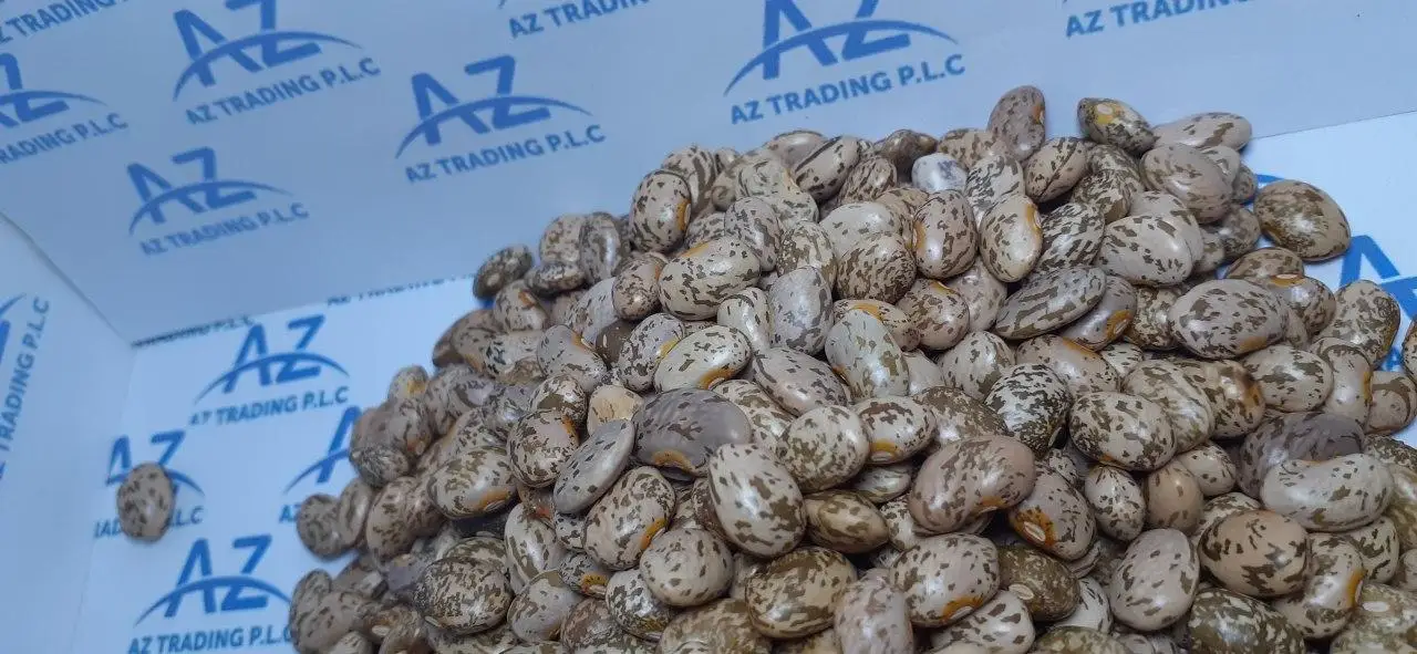 Factory Direct Sale: High-Quality 2024 Pinto Beans, All Sizes Available Premium Quality Bulk Quantity