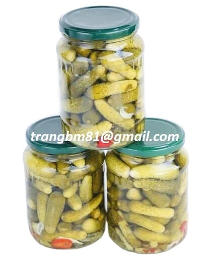 VIETNAMESE CANNED PICKLED BABY CUCUMBERS GHERKINS IN BRINE PRODUCED FROM OWN MANUFACTURER WITH GOOD PRICE