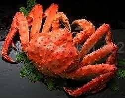 Online Snow Crab, Alaskan King Crabs, Norwegian king crabs
