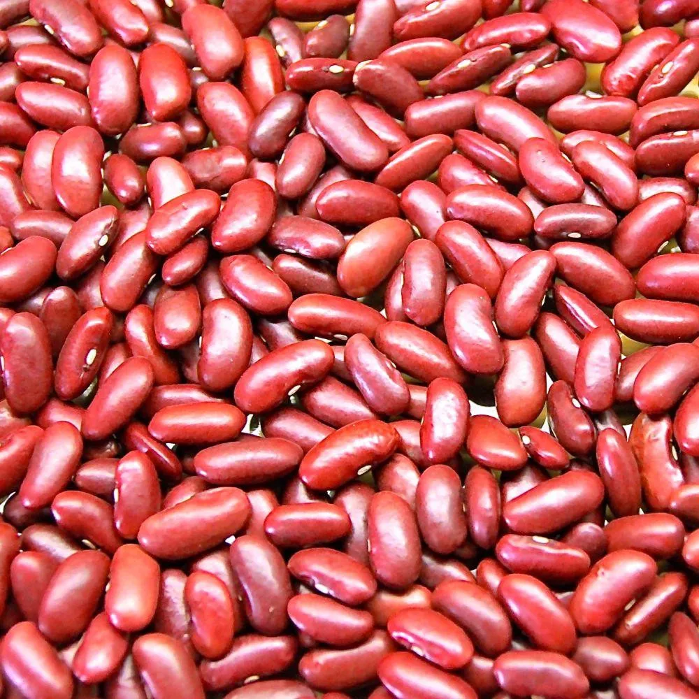 Non-GMO Red Kidney Beans and Red Beans with Wholesale Price / White Kidney Beans / Black Kidney Beans