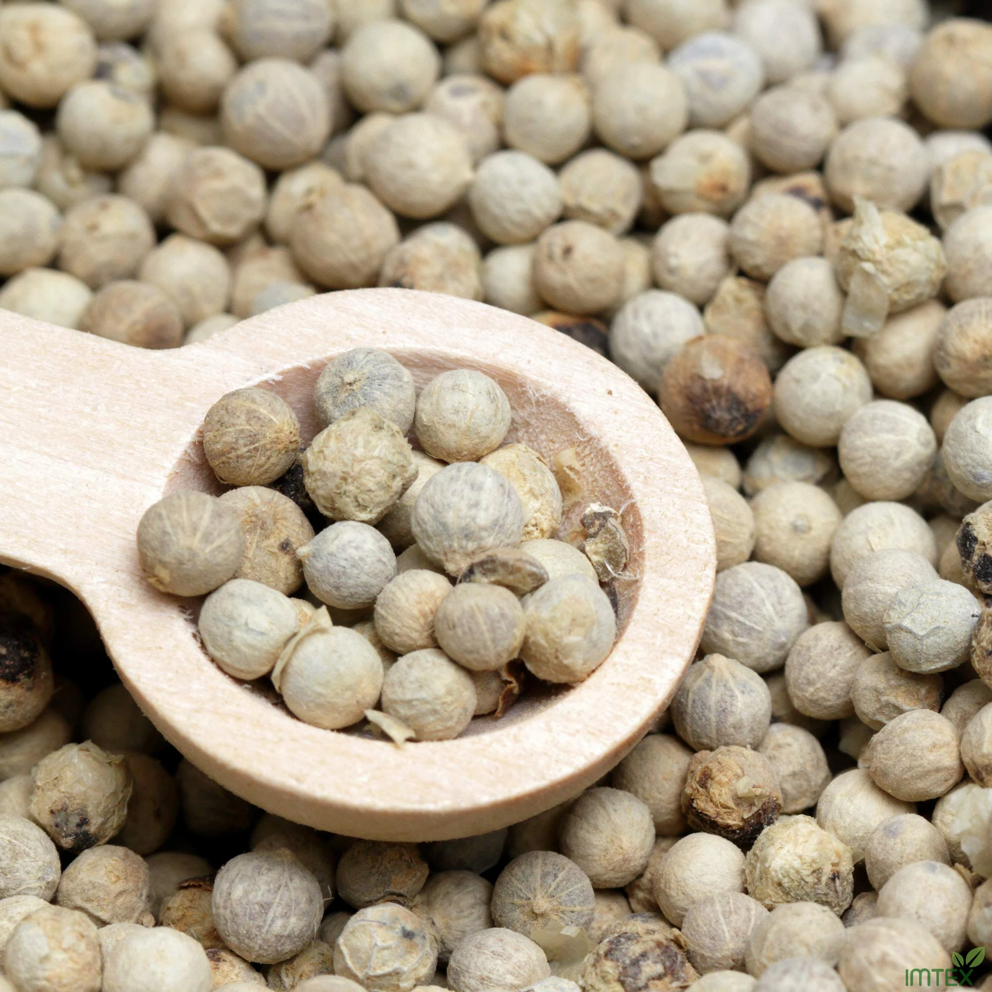 White pepper 630 G/L Double Washed single spice and herbs Vietnam manufacture original Seasonings