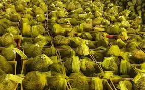 The Best Fresh Durian , Tropical Fruit, Vietnam Export products to China, Thailand, Malaysia, Turkey Fresh Durian Fruit