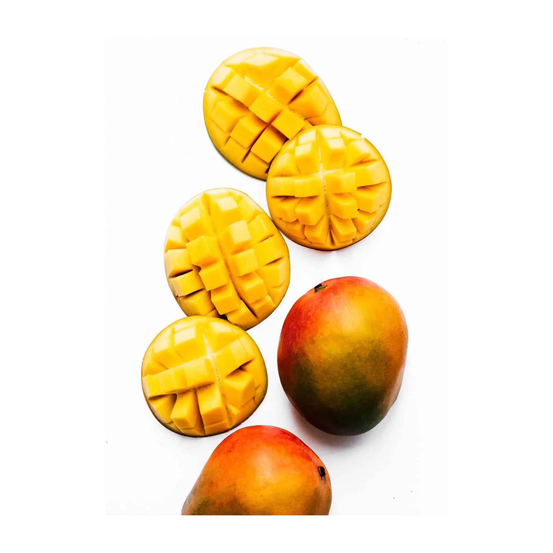 We sale Quality GREEN/Yellow  Wholesale Fresh Mango / Alphonso Mango Fruit / Mango Pulp