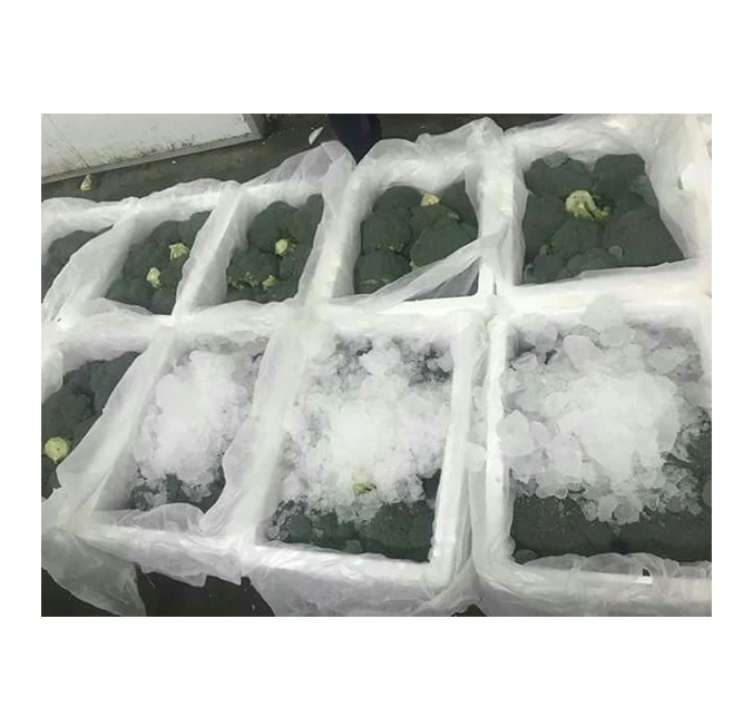 Competitive Price Superior Quality Best Selling Common Cultivation Type Natural and Fresh Vegetables Broccoli from Egypt