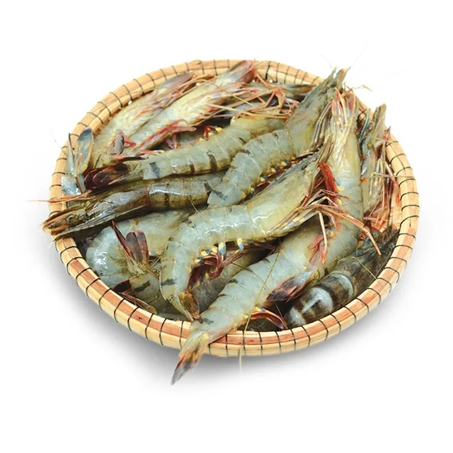 Frozen Black Tiger Shrimps - Black Tiger Prawn HOSO 8/12 600g - RAW VANNAMEI HOSO
