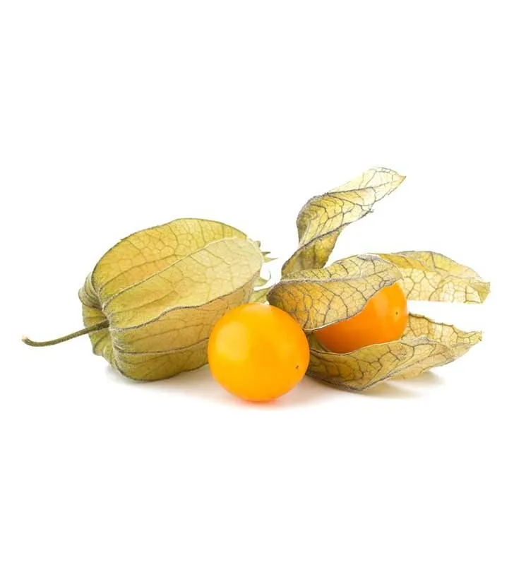 Fresh Peruvian Groundcherry Golden Berries PHYSALIS Juice With The Best Price 0084947900124