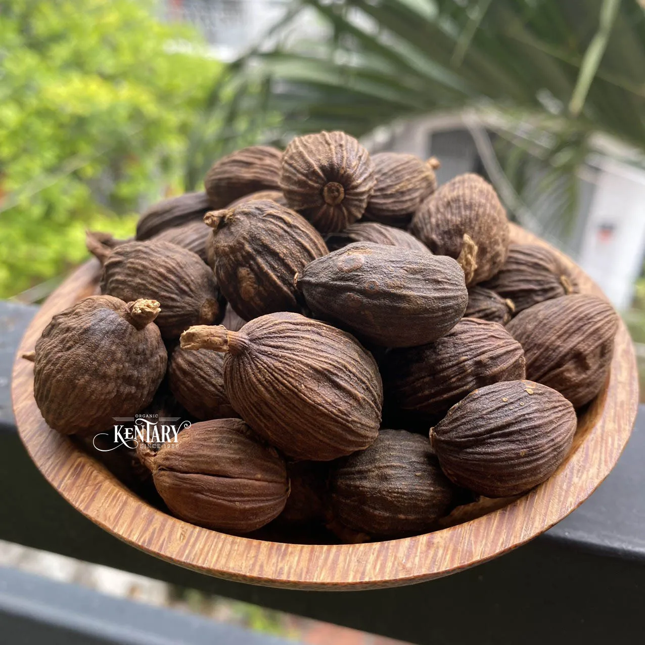 Wholesale Strong Flavor Black Cardamon Seeds Size 9mm Hight Quality Spices Best Price Factory in Vietnam 100% Pure non GMO